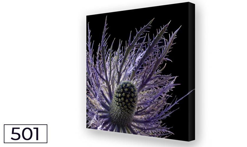Akustikbild und Bassabsorber - Distel Duo 01 Akustikbild und Bassabsorber - Distel Duo 01