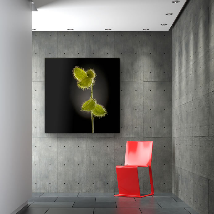 Schallschluckbild Seidenblume Trio03 110 x 110 x 10 cm Akustikbild / Bassabsorber "Seidenblume Trio03"