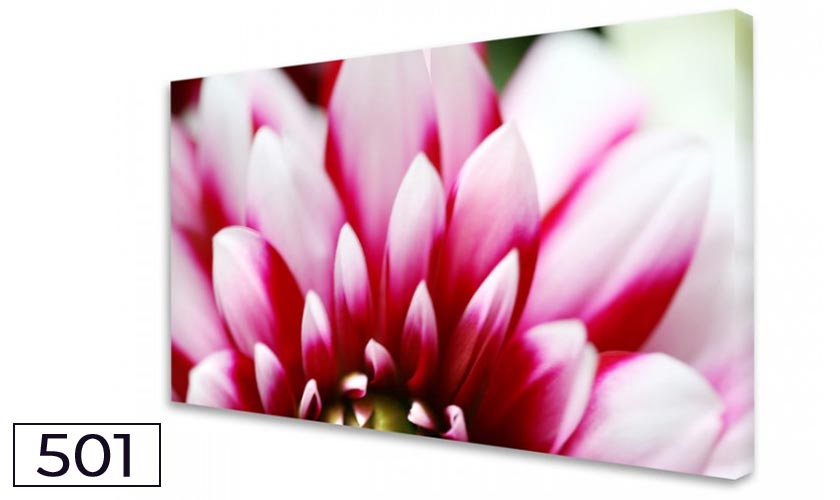 Moments en rose - Dahlie No. 05 - Akustikbild und Schallabsorber für die Wand Moments en rose - Dahlie No. 05 - Akustikbild und Schallabsorber für die Wand