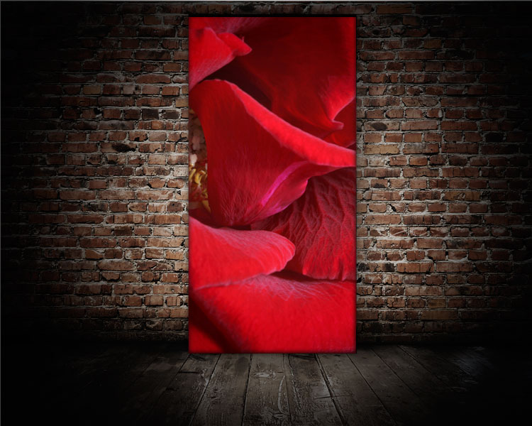 Red Roses No. 01 - limitiertes Kunstwerk für eine gute Raumakustik Akustikbild / Schallbsorber "Red Roses No. 02"