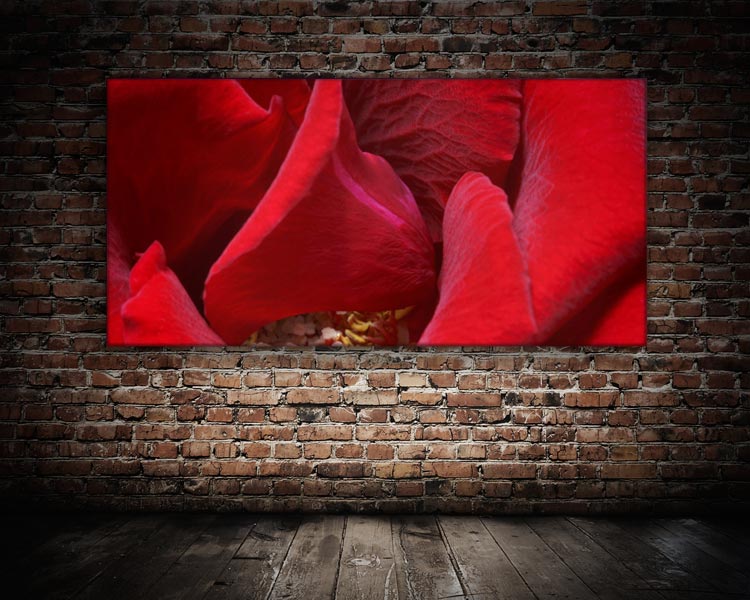 schallSchlucker mit limitiertem Motiv Red Roses 02 Akustikbild / Schallbsorber "Red Roses No. 01"