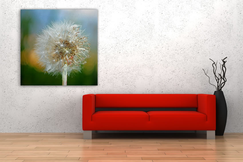 Schallschluckbild Pusteblume 01 110 x 110 x10 cm Akustikbild / Bassabsorber "Pusteblume No. 01"