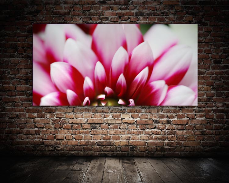 schallSchlucker mit limitiertem Motiv Dahlie No. 05 Akustikbild / Absorber "Moments en rose - Dahlie No. 05"