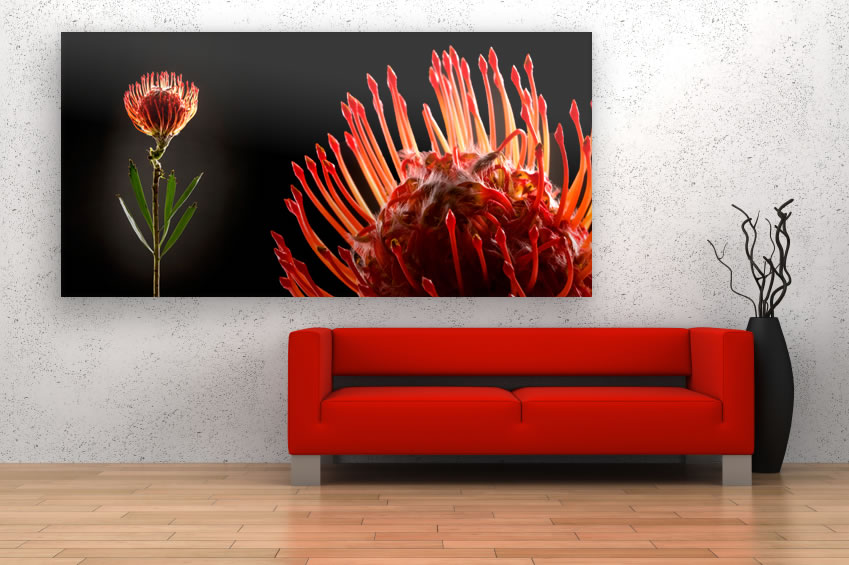 Schallschluckbild Protea Big 220x110x10cm Akustikbild / Absorber "Protea Big"