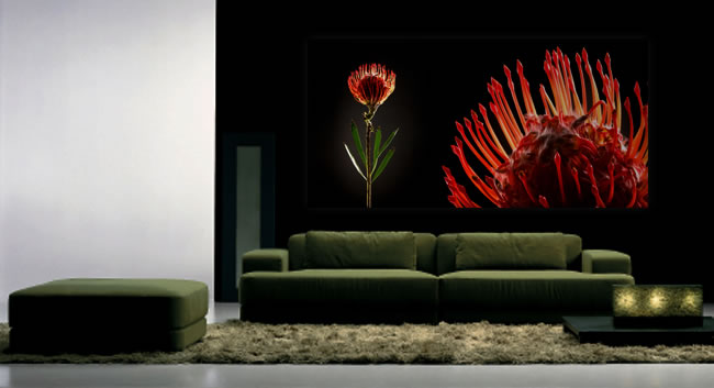 Schallschluckbild Protea Big 220 x 110 x 10 cm Akustikbild / Absorber "Protea Big"