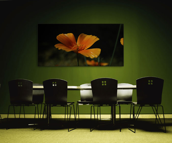 Besprechnungsraum - schallSchluckbild Goldmohn 220 x 110 x 10 cm Akustikbild / Breitbandabsorber "Goldmohn"