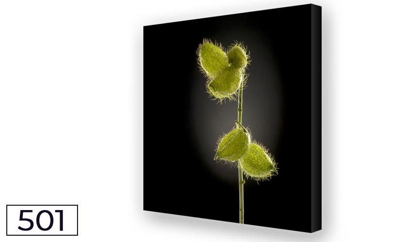 Schallreduktion durch Akustikbilder und Breitbandabsorber Seidenblume Trio 03 Akustikbild Seidenblume Trio03-Breitbandabsorber für eine gute Raumakustik