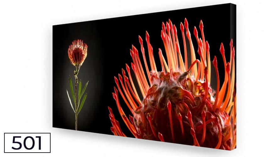 Protea Big: Akustikbild, Schallabsorber, Breitbandabsorber Protea Big: Akustikbild, Schallabsorber, Raumakustik