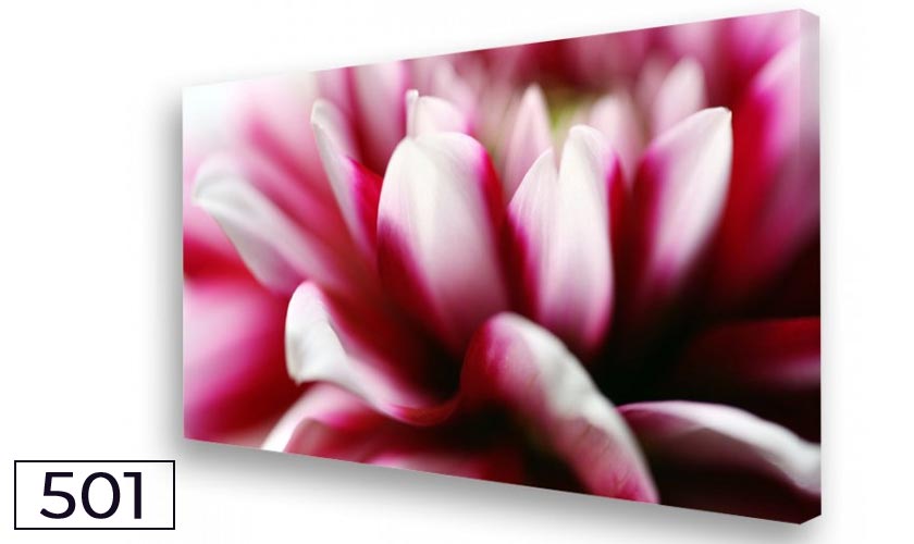 Moments en rose - Dahlie No. 01 - Akustikbild und Schallabsorber für die Wand Moments en rose - Dahlie No. 01 - Akustikbild und Schallabsorber für die Wand