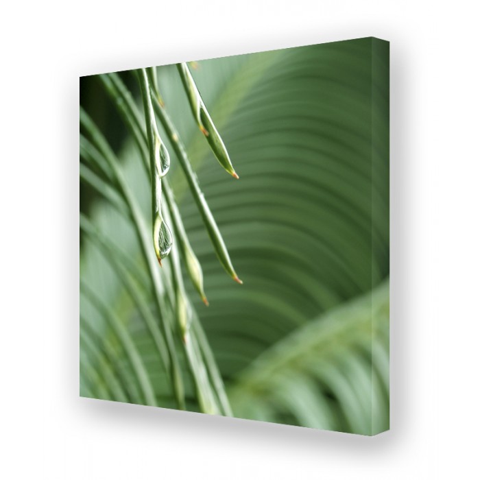 Akustikbild Drop - Bassabsorber mit Fotokunst Akustikbild Drop - Bassabsorber mit Fotokunst