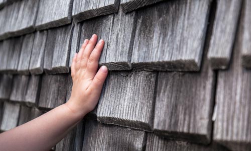 Blog: Natürliche Wandgestaltung