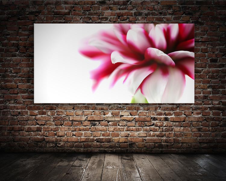 Schallschluckbild Dahlie No. 03 im Foyer Akustikbild / Absorber "Moments en rose - Dahlie No. 03"