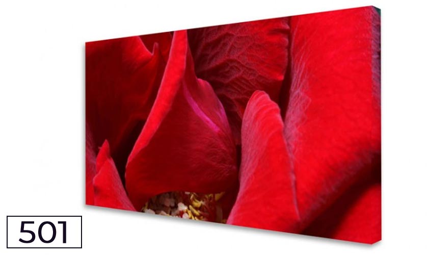 Akustikbild und Schallabsorber für die Wand - Red Roses No. 02 Akustikbild und Schallabsorber für die Wand - Red Roses No. 02
