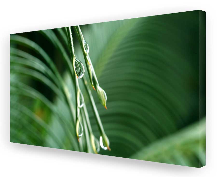 Schallschluckbild Big Drops 220 x 110 x 10 cm Akustikbild / Absorber "Big Drops"