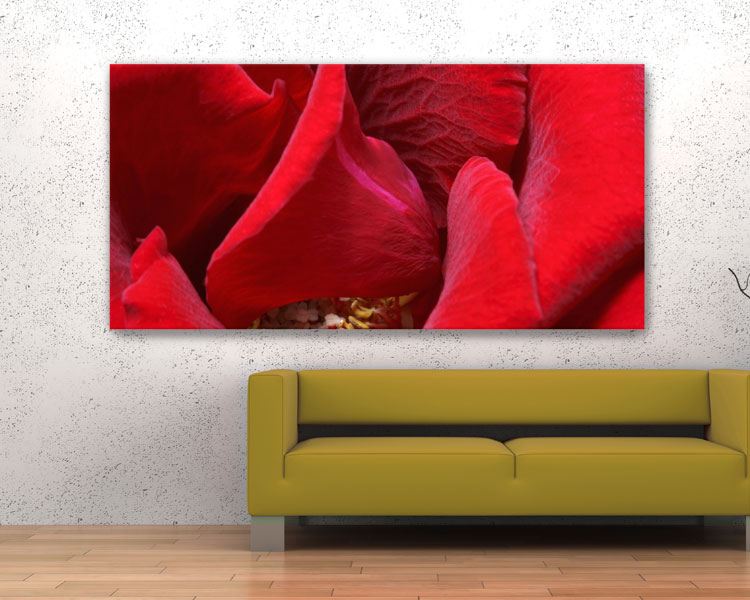 Akustikbild Red Roses No. 02 Raumhall mindern, Raumakustik verbessern: Akustikbild