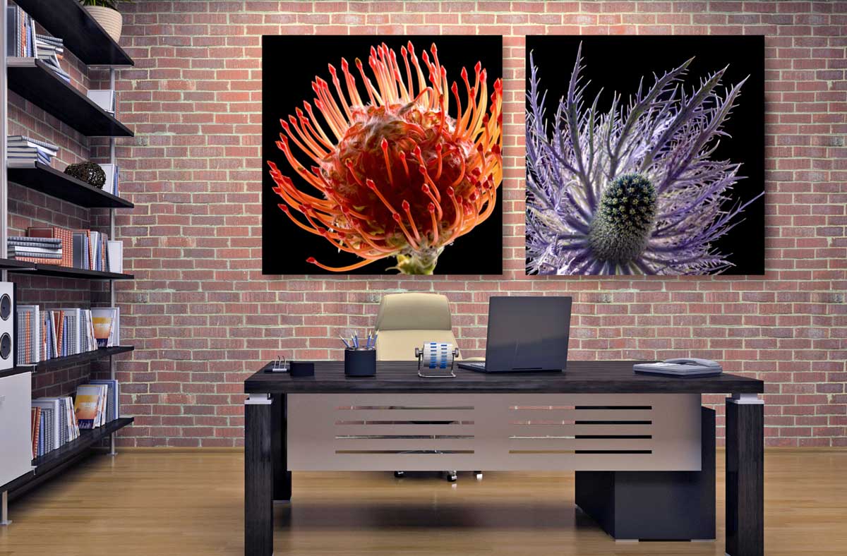 Akustikbild - Scahllfänger mit Fotokunst Scahllfänger mit Fotokunst