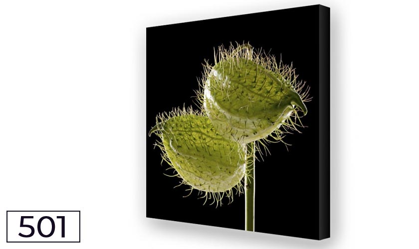 Schallreduktion durch Akustikbilder und Breitbandabsorber Seidenblume Trio 01 Schallreduktion durch Akustikbilder und Breitbandabsorber Seidenblume Trio 01