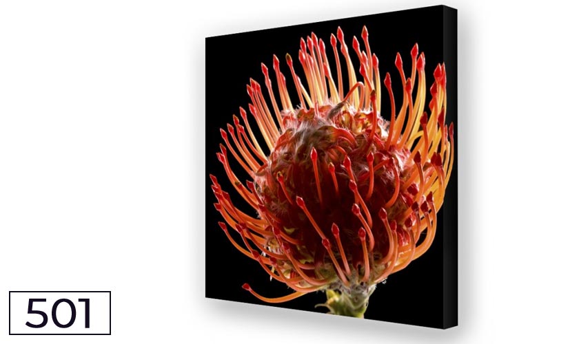 Schallreduktion durch Akustikbilder und Breitbandabsorber Protea 02 Akustikbild Protea Duo02-Breitbandabsorber für eine gute Raumakustik