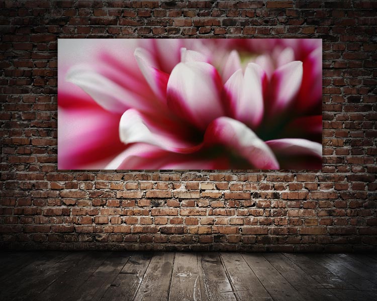 Schallschluckbild Dahlie No. 01 im Foyer Akustikbild / Absorber "Moments en rose - Dahlie No. 01"