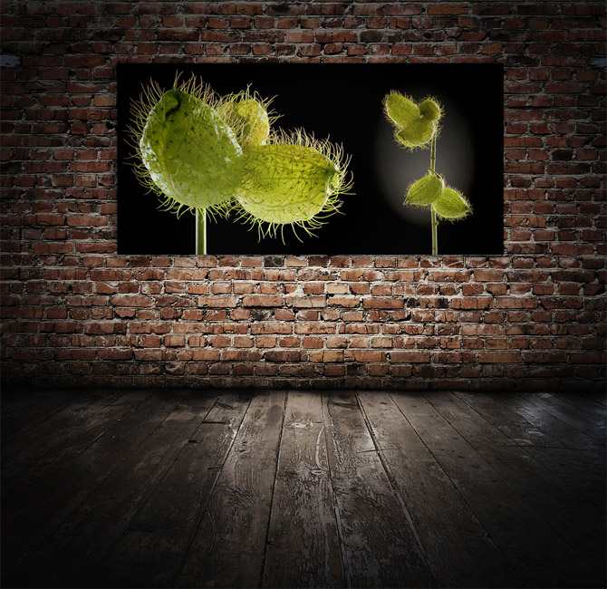 Schallschluckbild Seidenblume Big02 220 x 110 x 10 cm Akustikbild / Absorber "Seidenblume Big02"