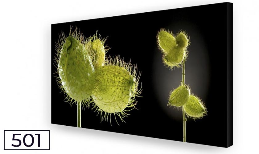 Seidenblume Big 02: Akustikbild, Schallabsorber, Raumakustik