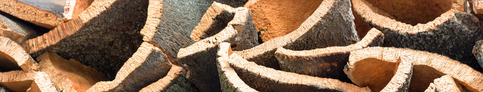 Naturkork, der nachwachsende Werkstoff Naturkork, Rinde der Korkeiche