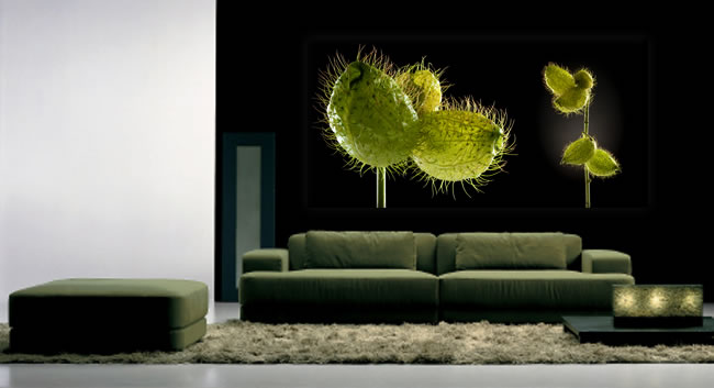 Schallschluckbild Seidenblume Big02 220 x 110 x 10 cm Akustikbild / Absorber "Seidenblume Big02"