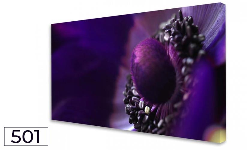 Akustikbild - Schallabsorber für die Wand Anemone