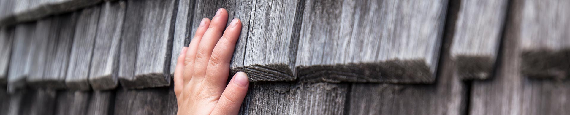 Wohntrend: Natürliche Wandgestaltung Natürliche Wandgestaltung