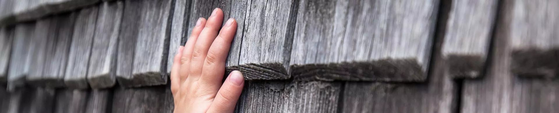 Natürliche Wandgestaltung