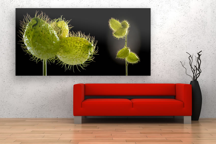 Schallschluckbild Seidenblume Big02 220x110x10cm Akustikbild / Absorber "Seidenblume Big02"
