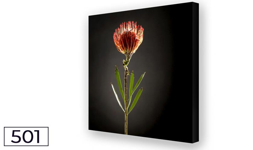 Schallreduktion durch Akustikbilder und Breitbandabsorber Protea 01 Akustikbild Protea Duo01-Breitbandabsorber für eine gute Raumakustik