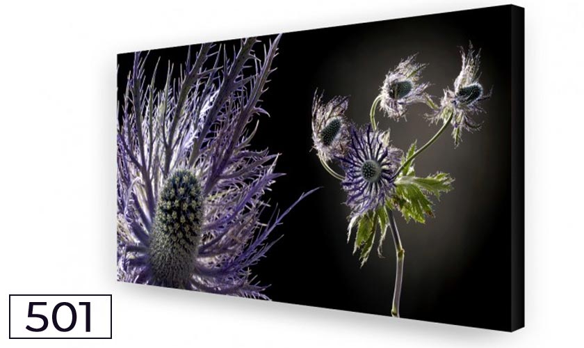 Distel Big: Akustikbild, Schallabsorber, Breitbandabsorber Distel Big: Akustikbild, Schallabsorber, Raumakustik