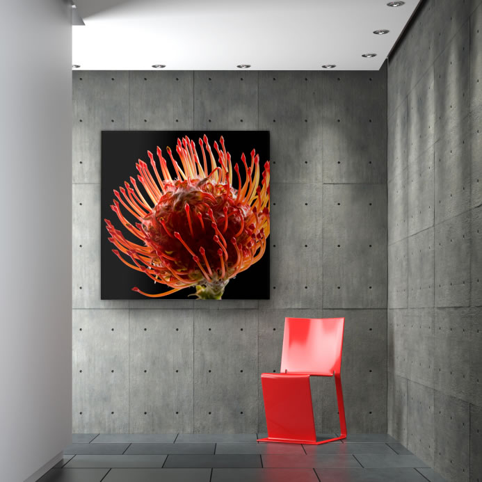 Schallschluckbild Protea Duo02 110x 110x10cm Akustikbild / Bassabsorber "Protea Duo02"