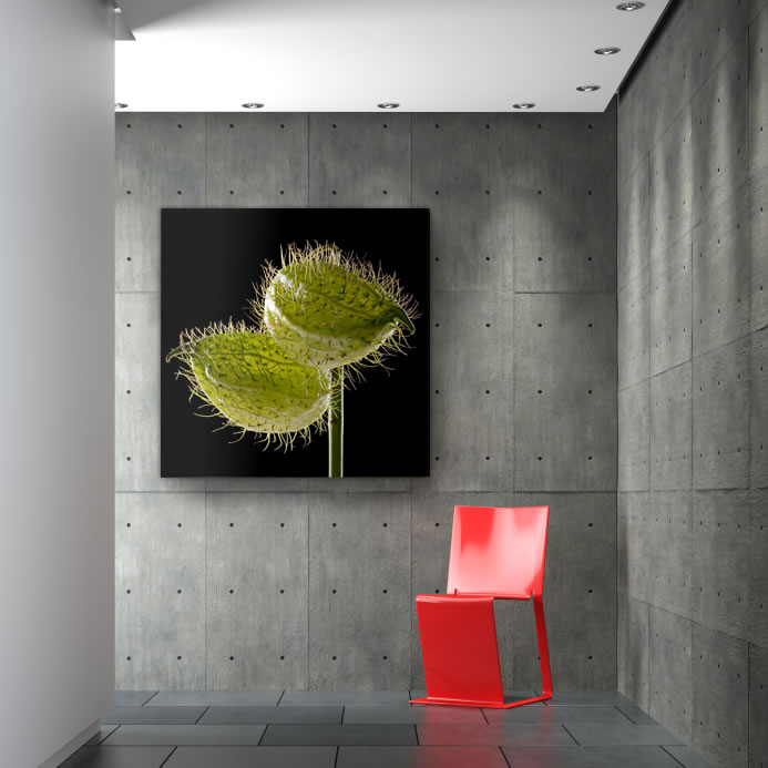 Schallschluckbild Seidenblume Trio01 110x110x10 cm Akustikbild / Bassabsorber "Seidenblume Trio01"